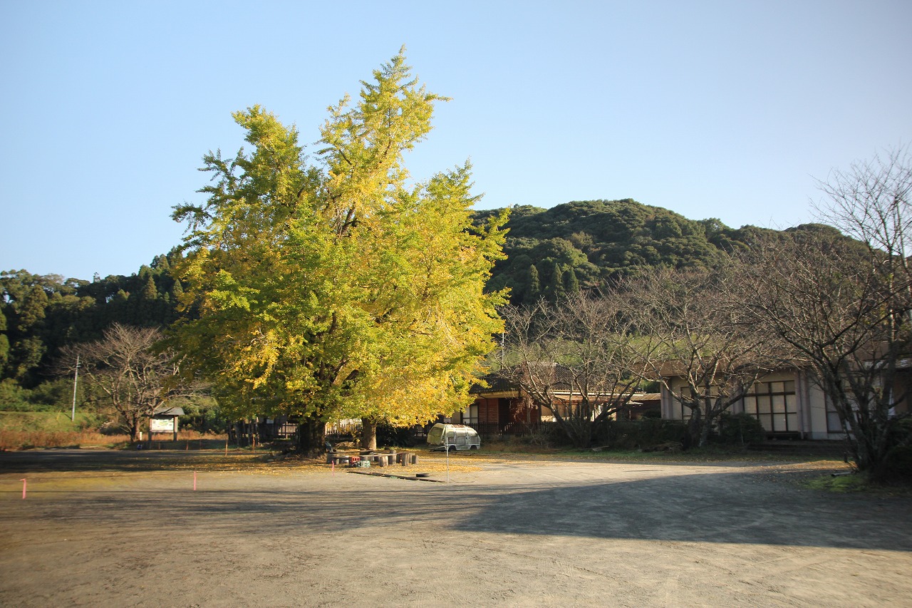 紅葉情報 肝付町観光協会